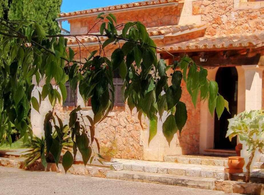 Ciclismo Y Golf Junto A La Playa Finca Son Sant Marti Gran Villa Muro Bagian luar foto